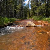 Review photo of Kirby Gulch by Cody R., July 17, 2024