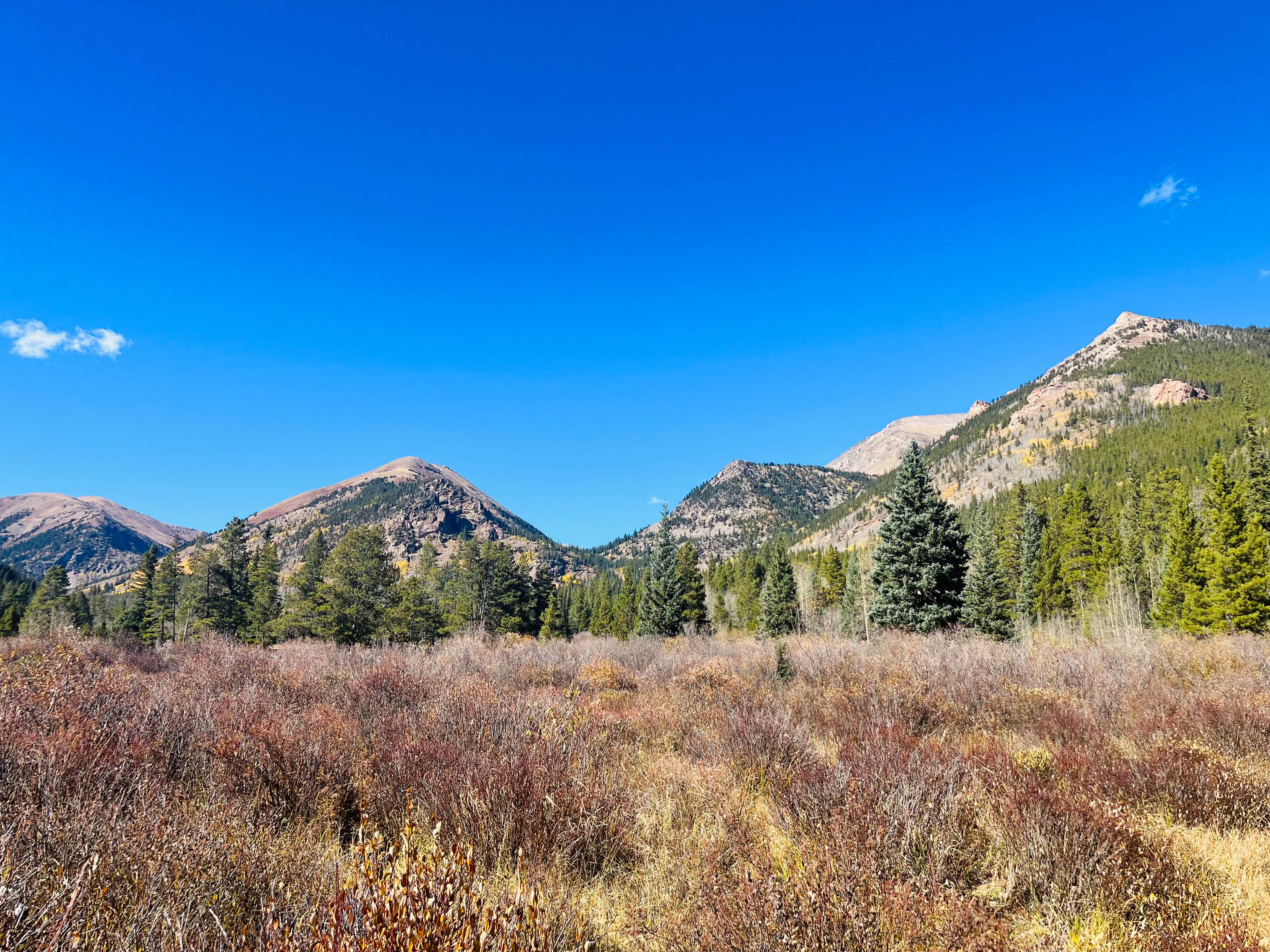 Camper-submitted photo at Kirby Gulch near Conifer, CO