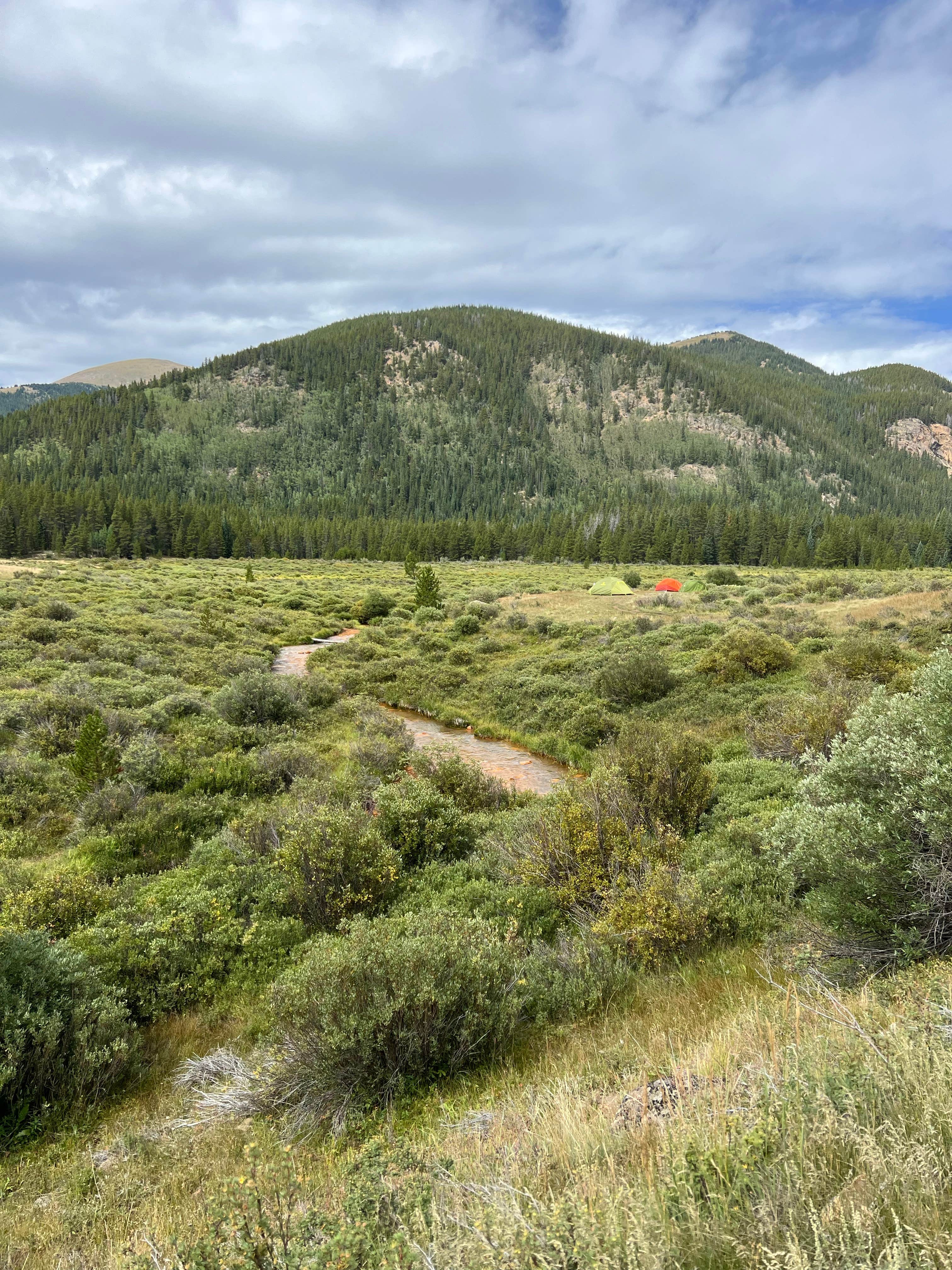 Camper-submitted photo at Kirby Gulch near Conifer, CO