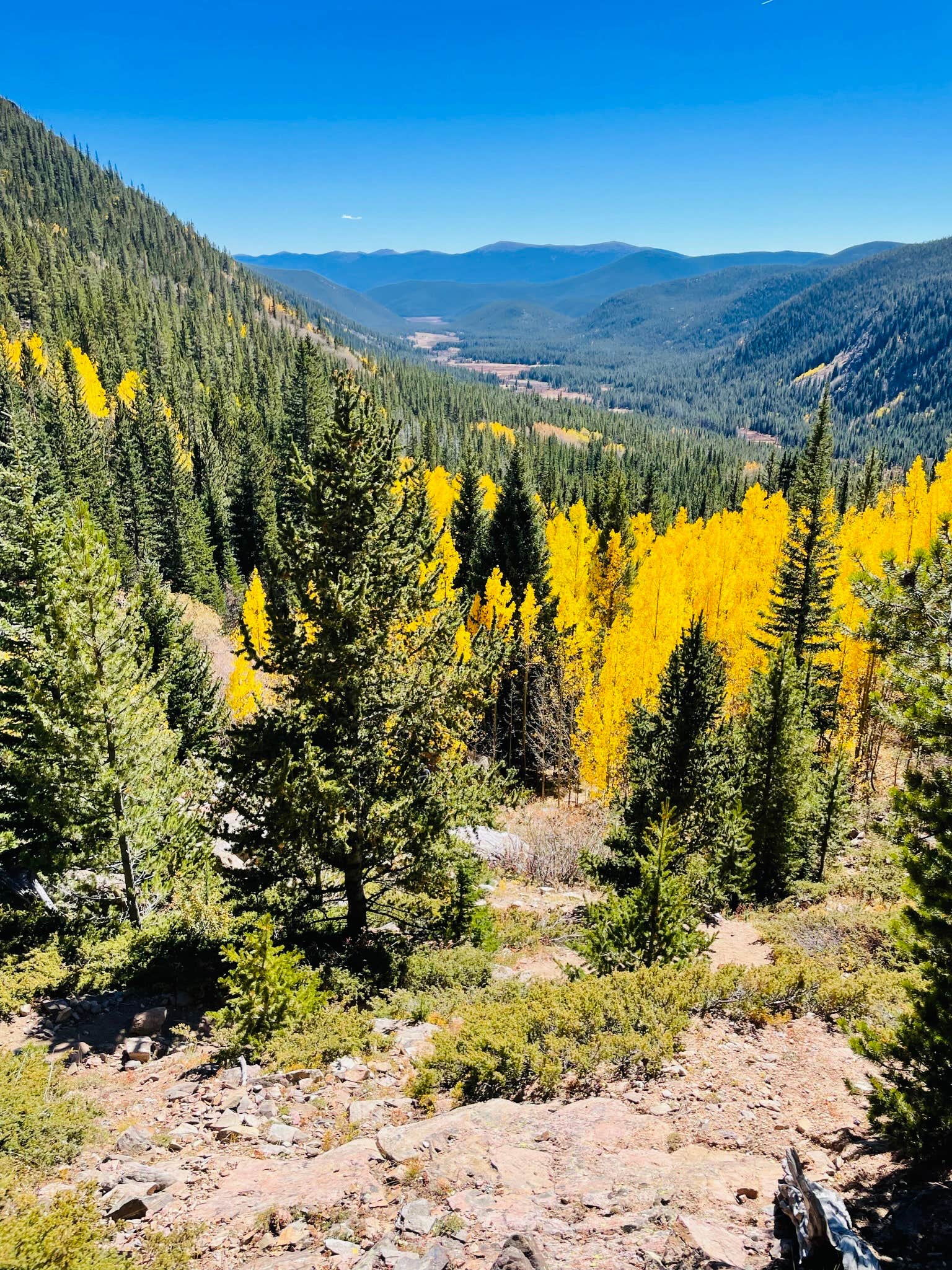 Camper-submitted photo at Kirby Gulch near Conifer, CO