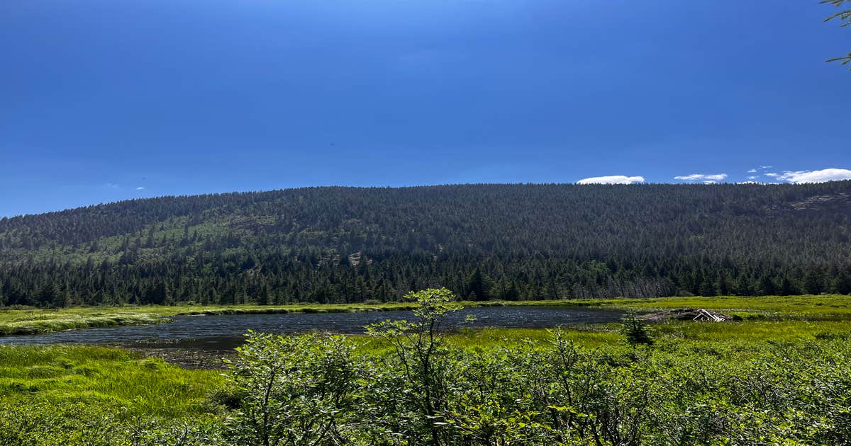 Kirby Gulch Camping Montezuma, CO