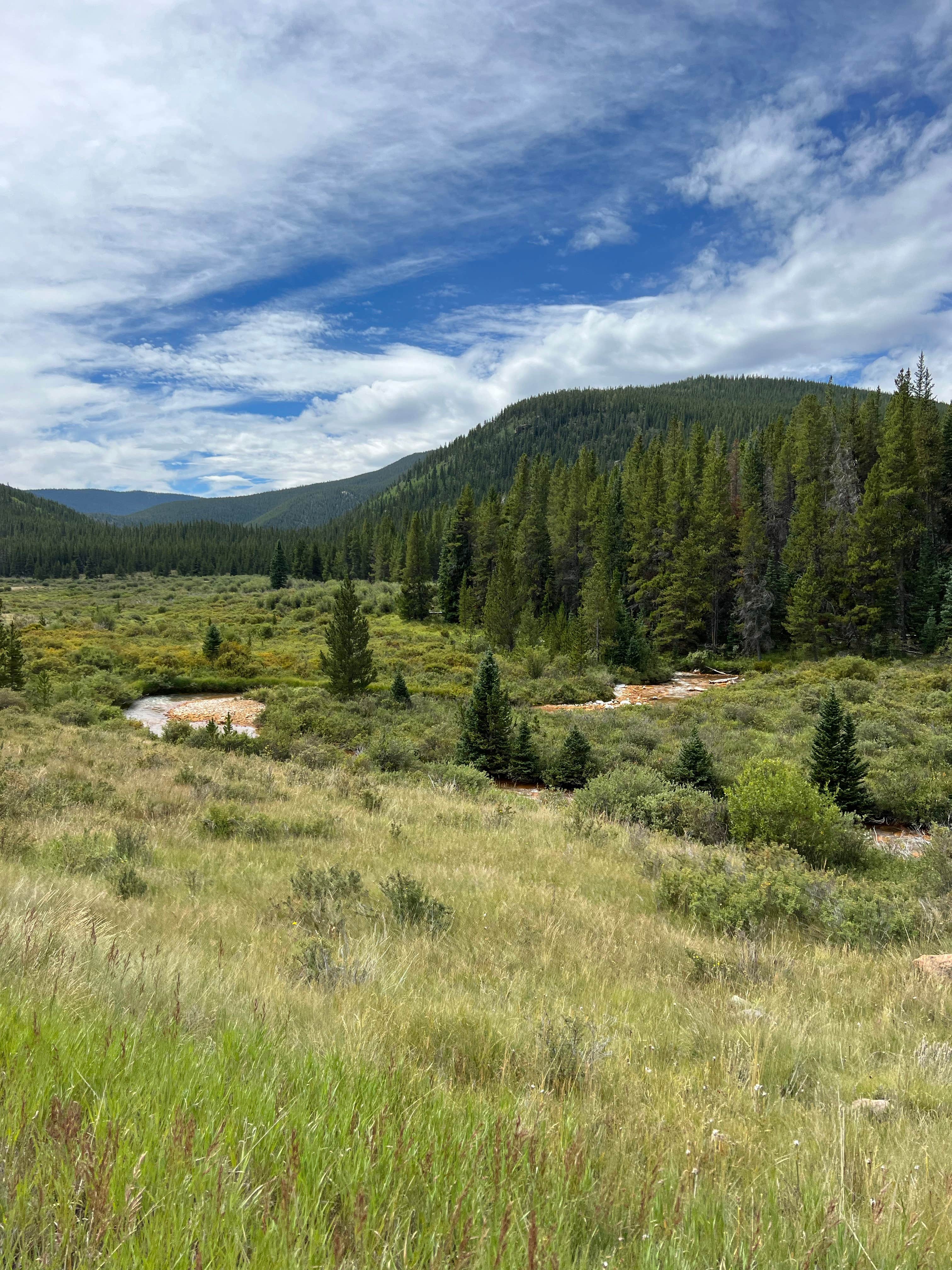 Camper-submitted photo at Kirby Gulch near Conifer, CO