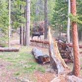 Review photo of Kirby Gulch by Greg , June 23, 2025