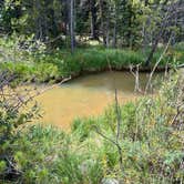 Review photo of Kirby Gulch by Taylor C., June 25, 2025