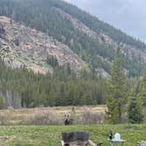 Review photo of Kirby Gulch by Greg , June 23, 2025