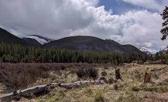 Lily N.'s photo of camping with pets at Kirby Gulch near Jefferson, CO