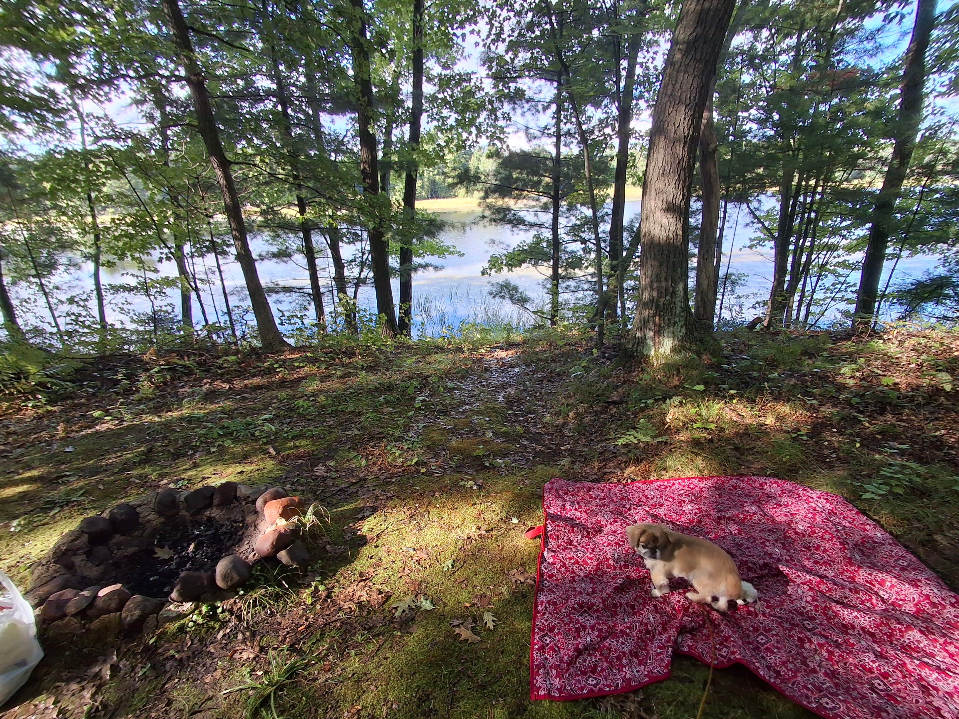 Camper submitted image from Kirby Lake Primitive Campsite - 3