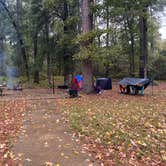 Review photo of Kisatchie Bayou NF Campground - Temporarily Closed by Marcie P., June 15, 2026