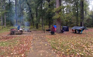Marcie P.'s photo of tent camping at Kisatchie Bayou NF Campground - Temporarily Closed in Louisiana