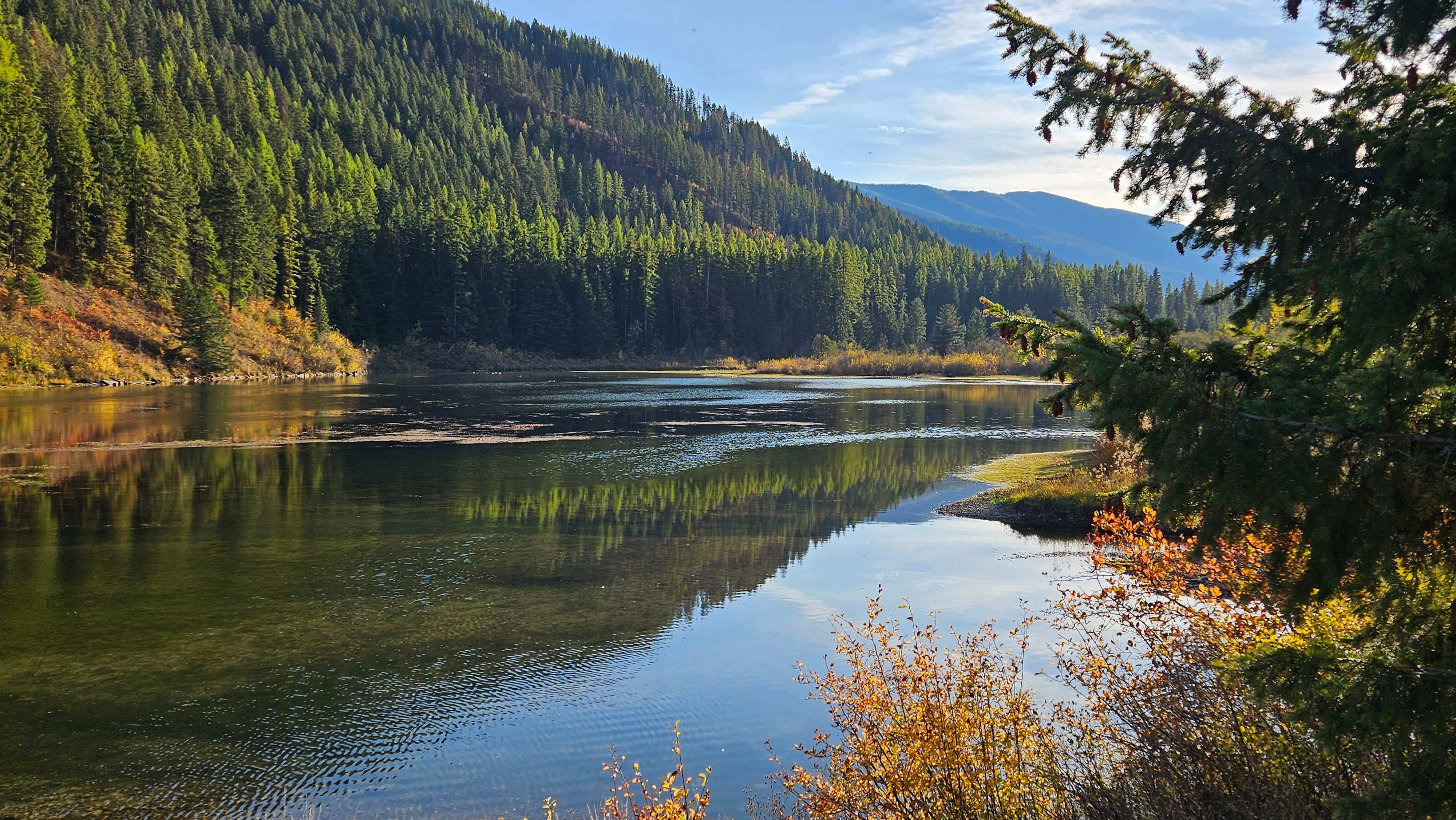 Camper submitted image from Kismet Creek Camping - 3