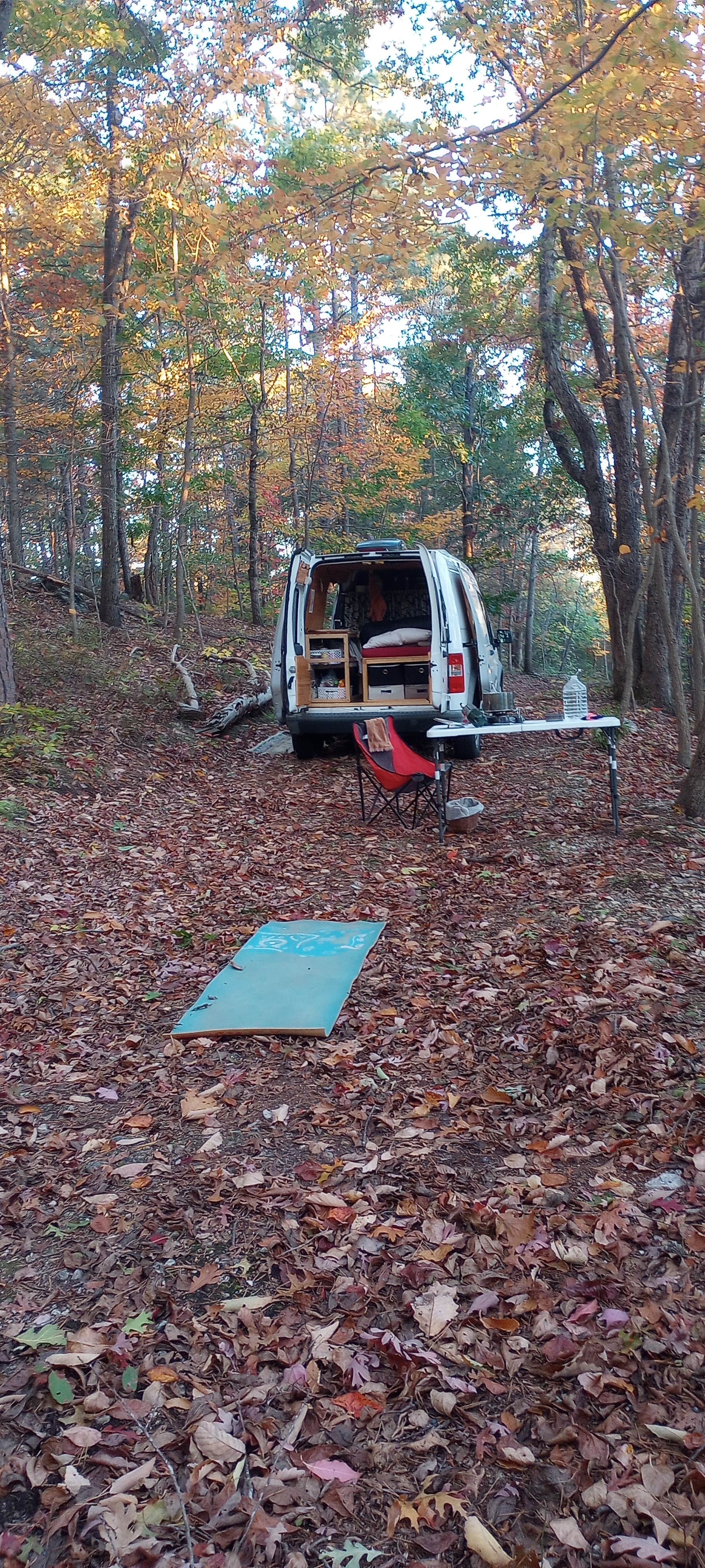 Camper submitted image from Kiss the Earth - 3