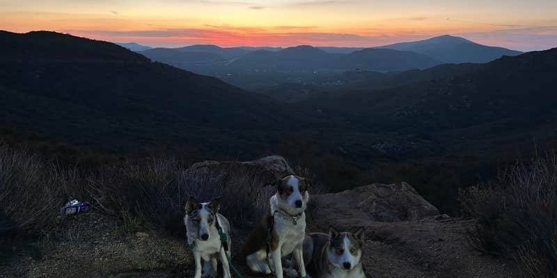 Camper submitted image from Kitchen Creek Road