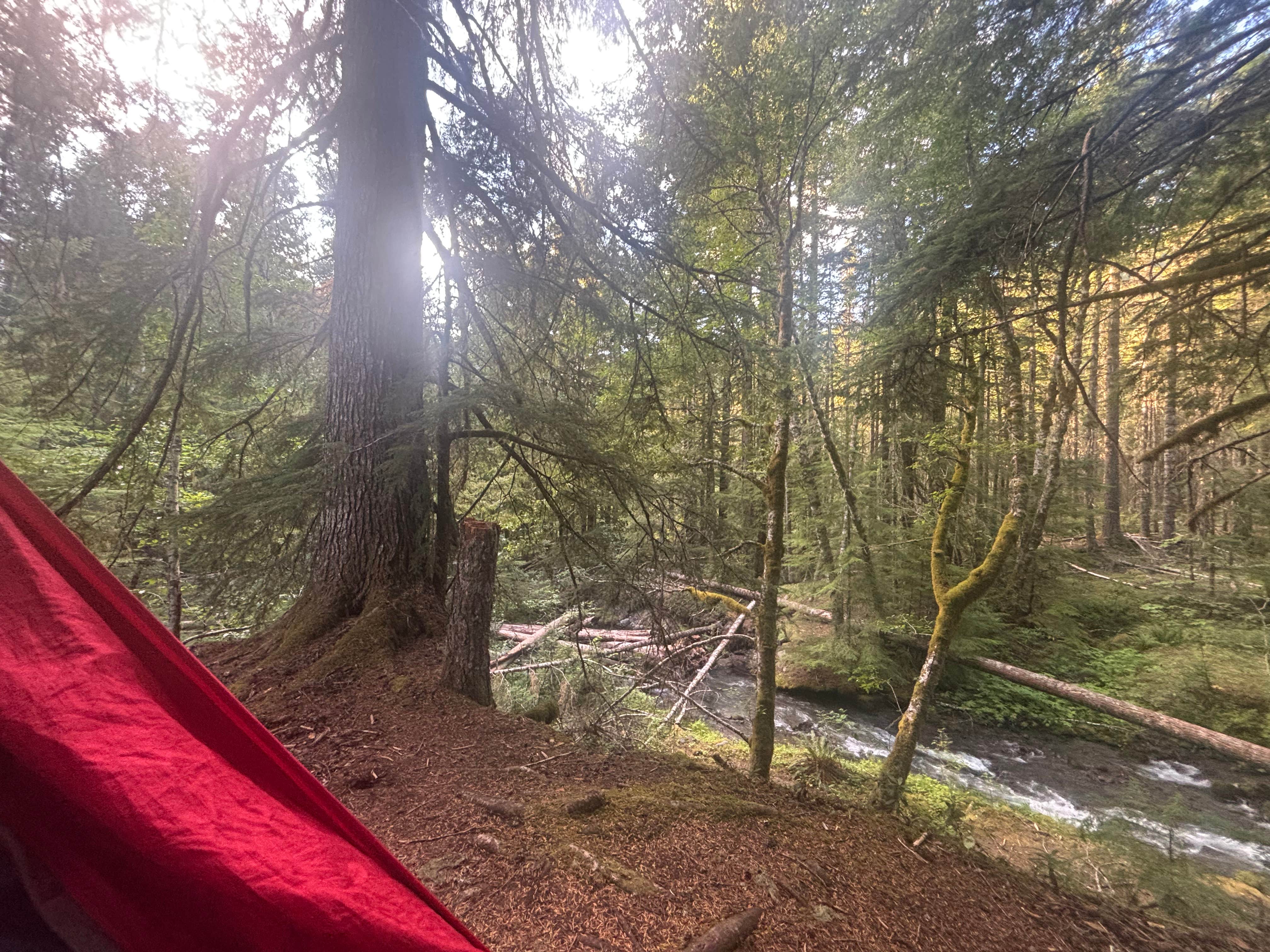 Camper-submitted photo at Kiwanis Road Free Camping near Rhododendron, OR