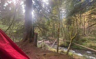Wells G.'s photo at Kiwanis Road Free Camping near Brightwood, OR
