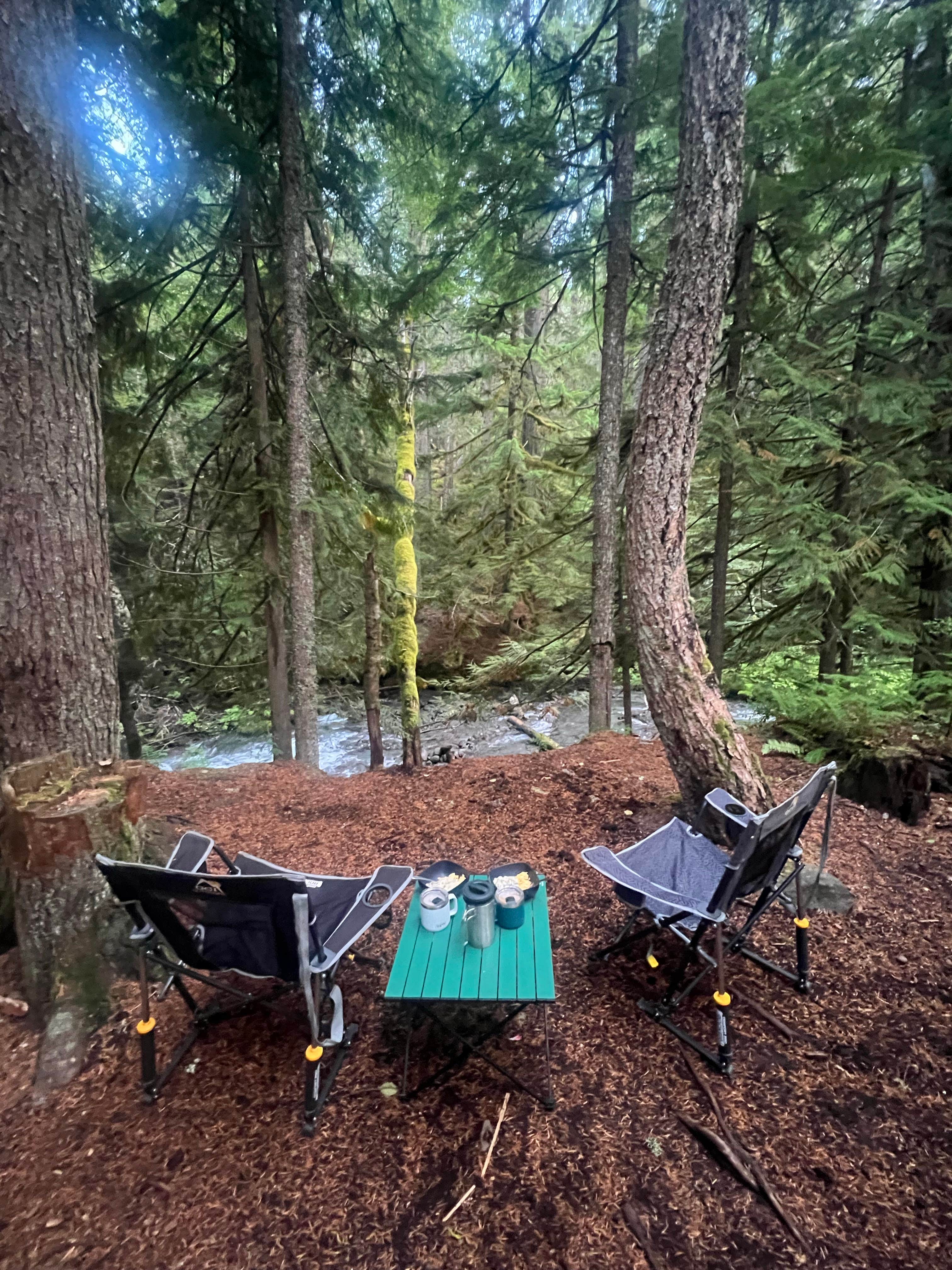 Brandon K.'s photo at Kiwanis Road Free Camping near Rhododendron, OR