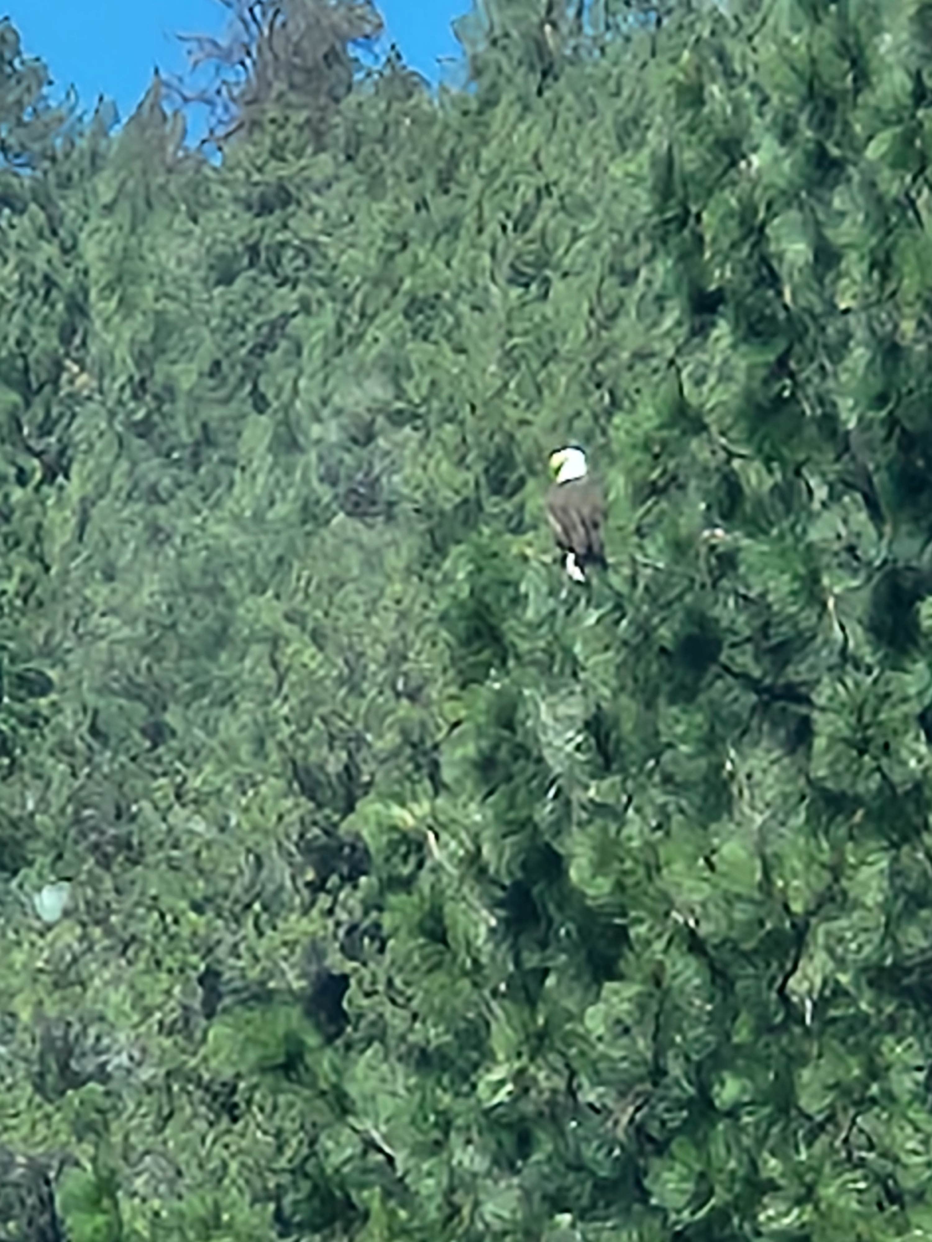 Camper-submitted photo at Eagle Ridge Park near Klamath Falls, OR