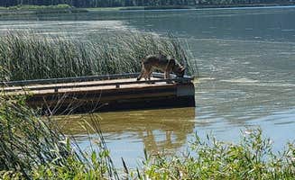 Krista S.'s photo of camping with pets at Eagle Ridge Park near Tulelake, CA