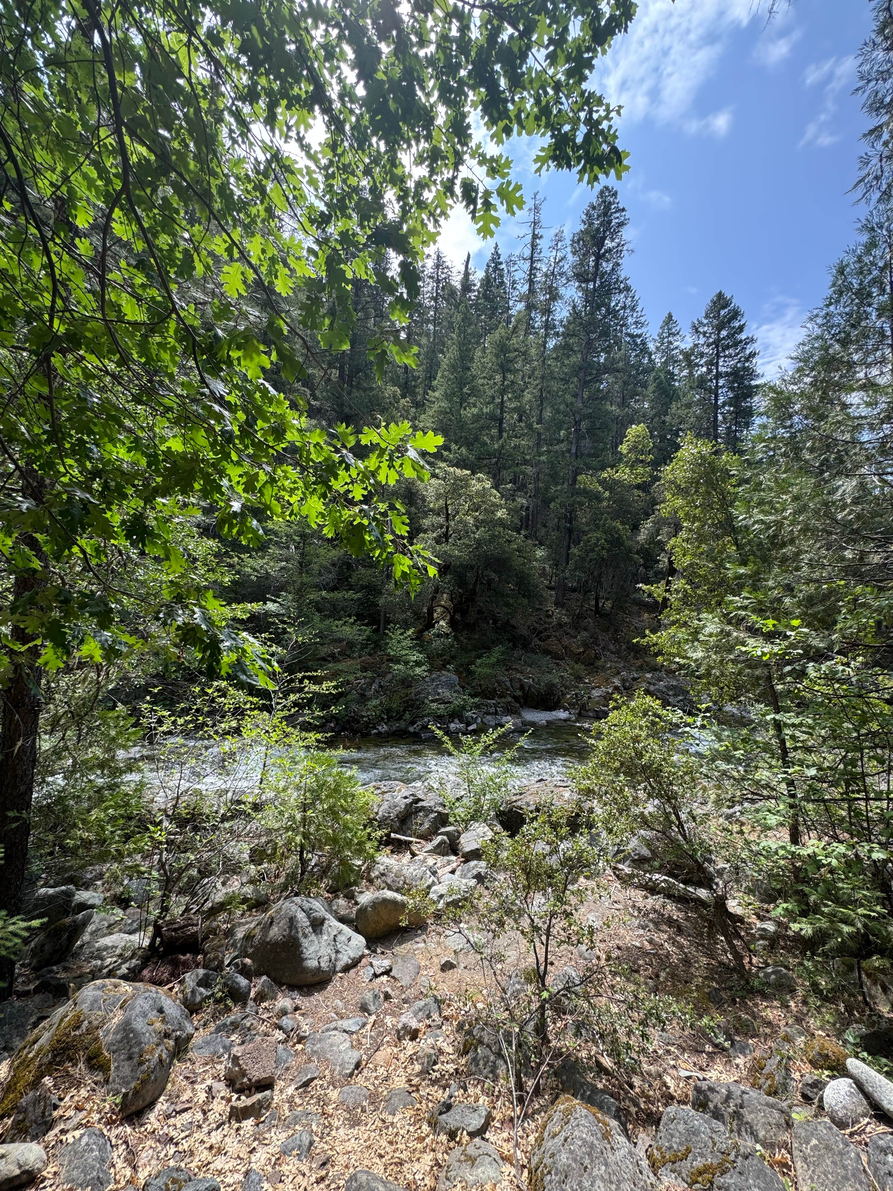 Camper-submitted photo at Mulebridge Campground near Greenview, CA