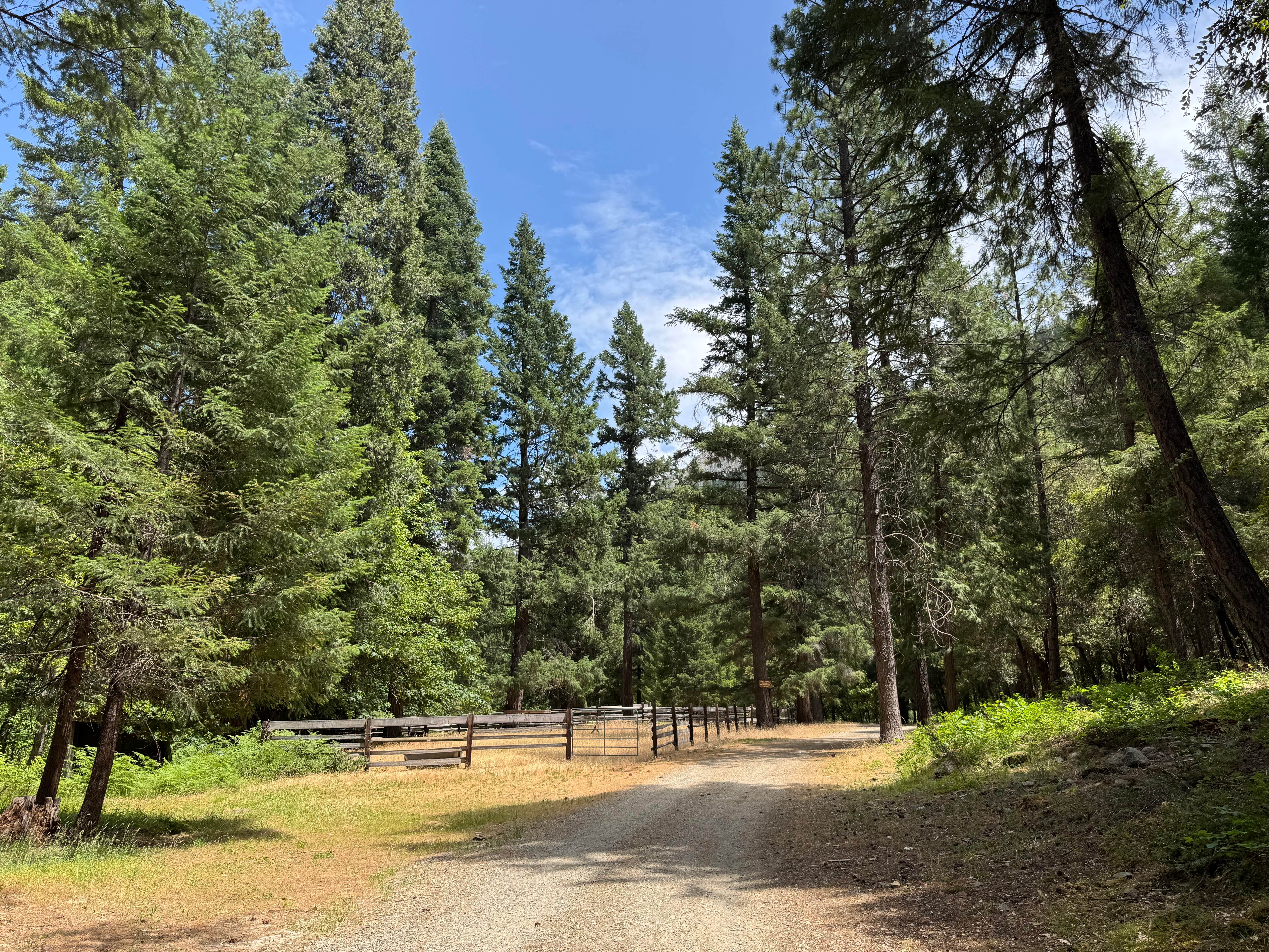 Camper-submitted photo at Mulebridge Campground near Greenview, CA