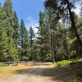 Review photo of Mulebridge Campground by Greg B., June 16, 2025