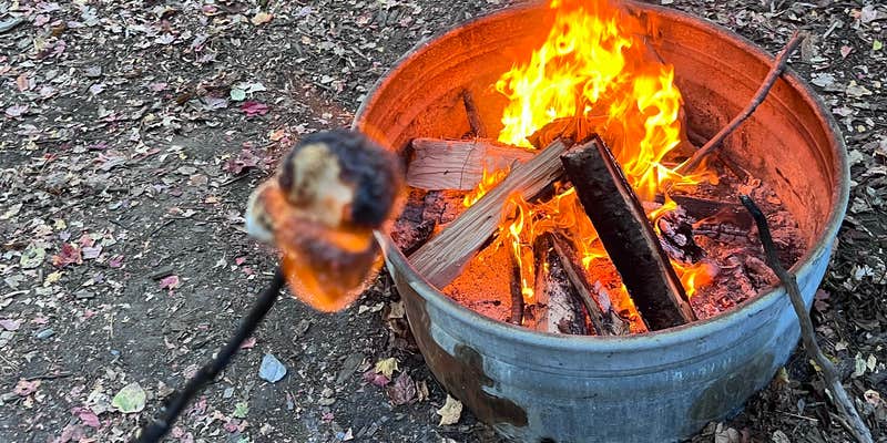 Camper submitted image from Knife Island Campground