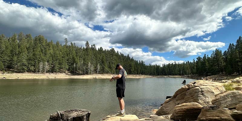 Camper submitted image from Knoll lake FR 752