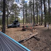 Review photo of Knoll lake FR 752 by Jordan L., May 4, 2026