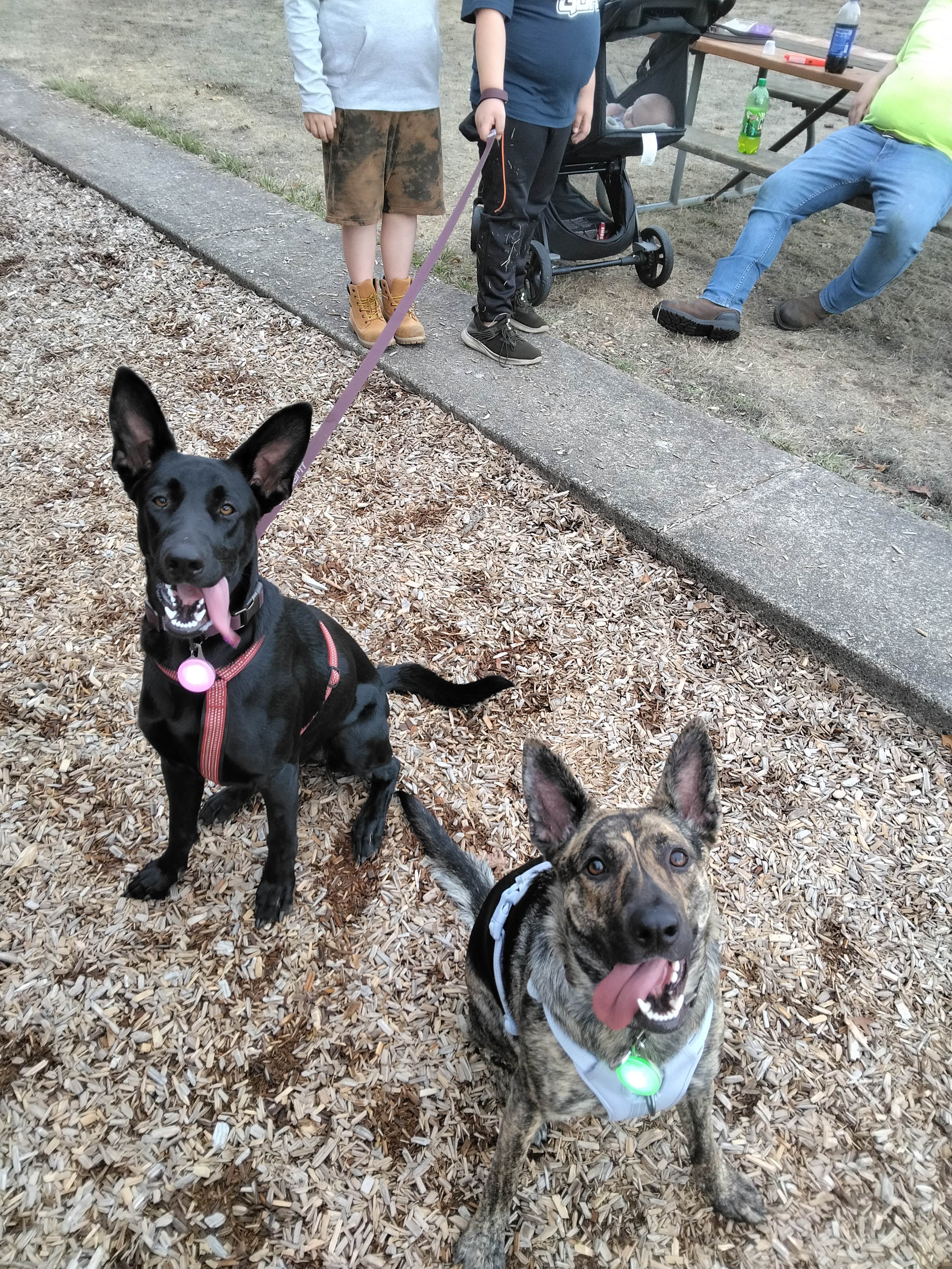 Camper-submitted photo at Knox Butte RV Park near Adair Village, OR