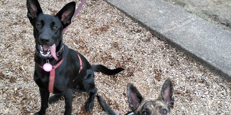 Camper submitted image from Knox Butte RV Park