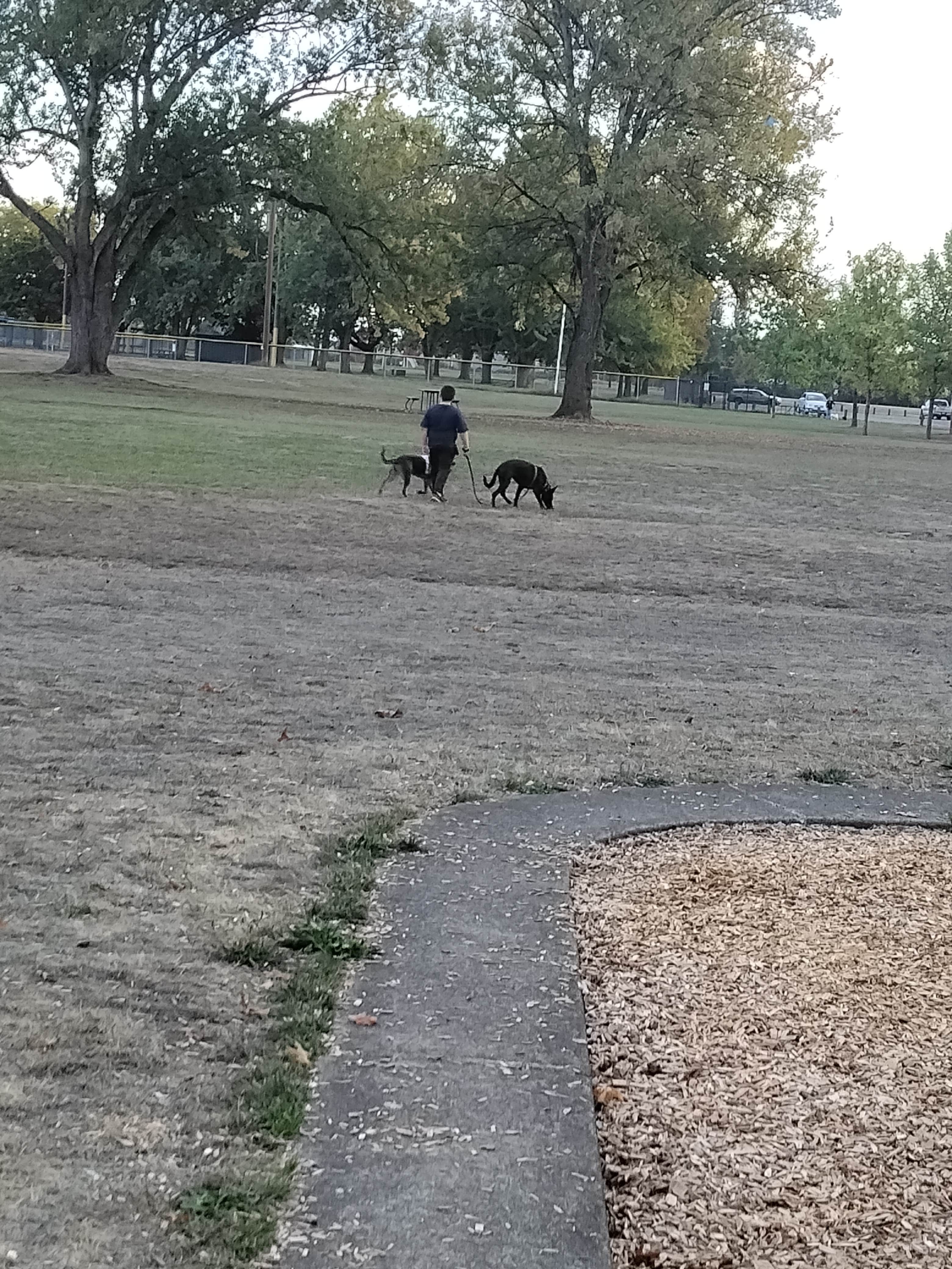 Camper-submitted photo at Knox Butte RV Park near Adair Village, OR