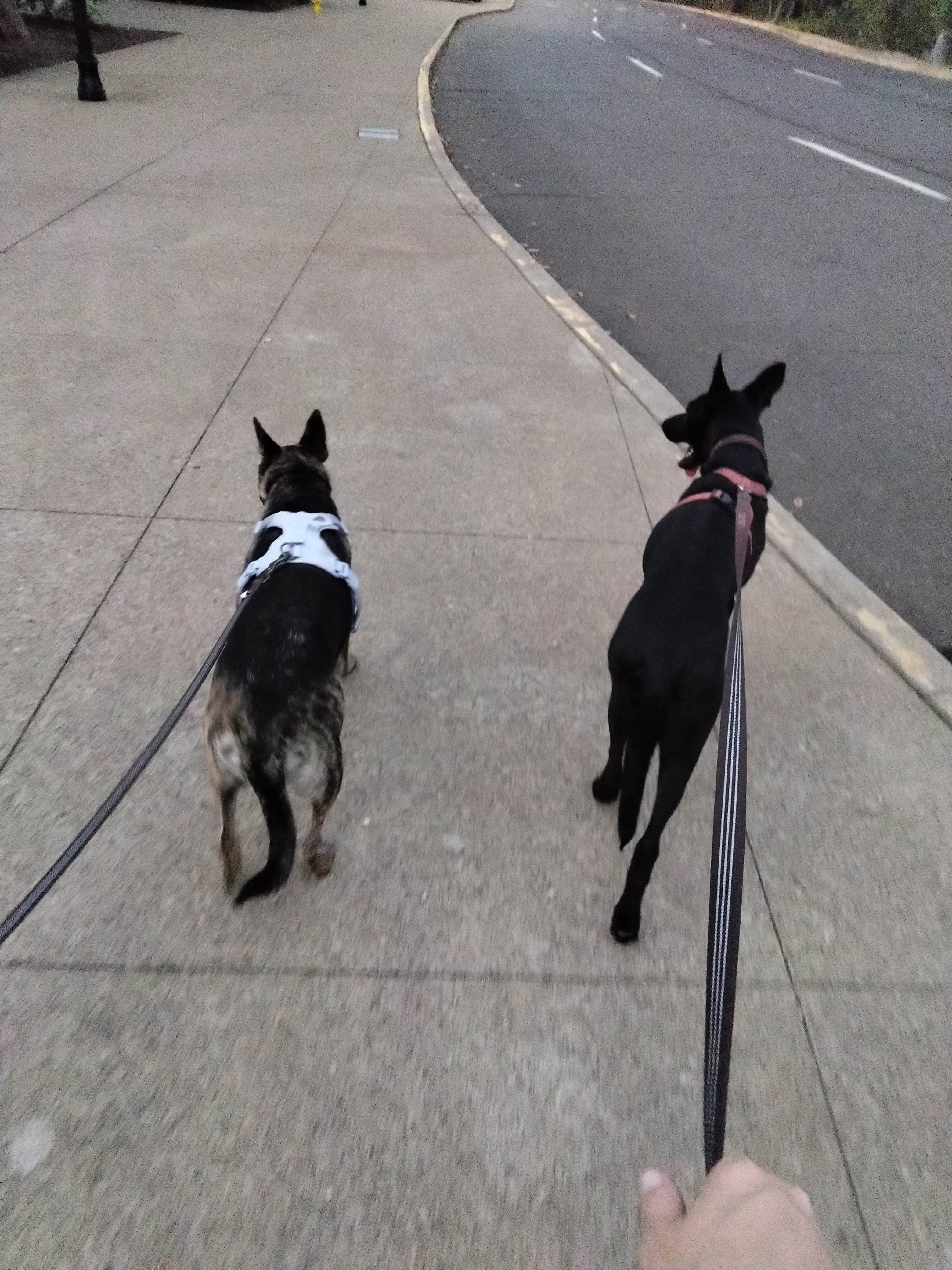 Camper-submitted photo at Knox Butte RV Park near Jefferson, OR
