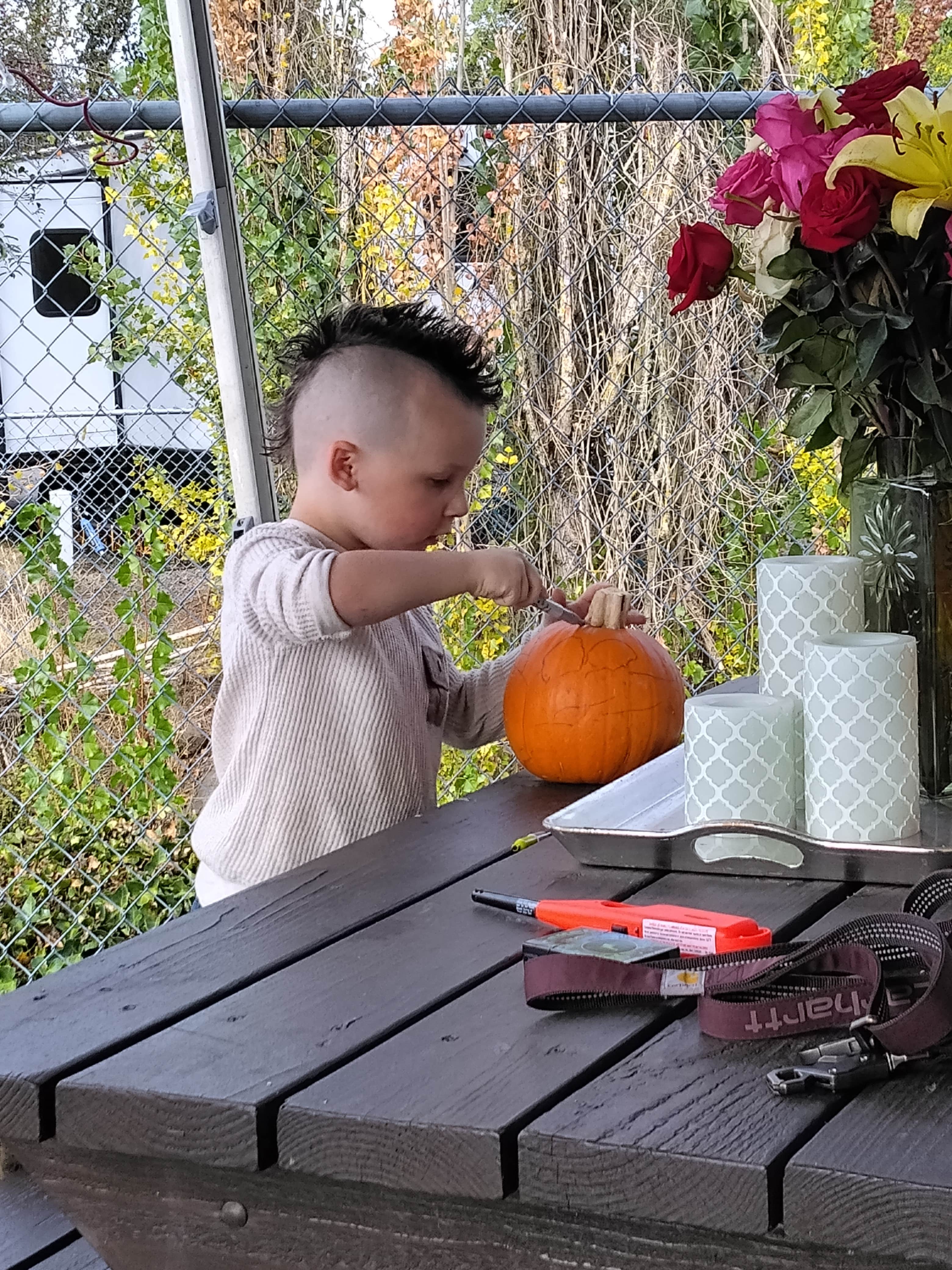 Camper-submitted photo at Knox Butte RV Park near Adair Village, OR