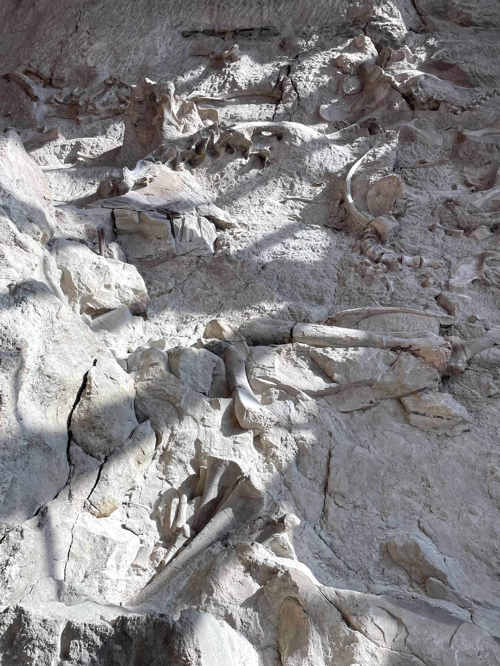 Camper-submitted photo at KOA Campground Vernal near Vernal, UT