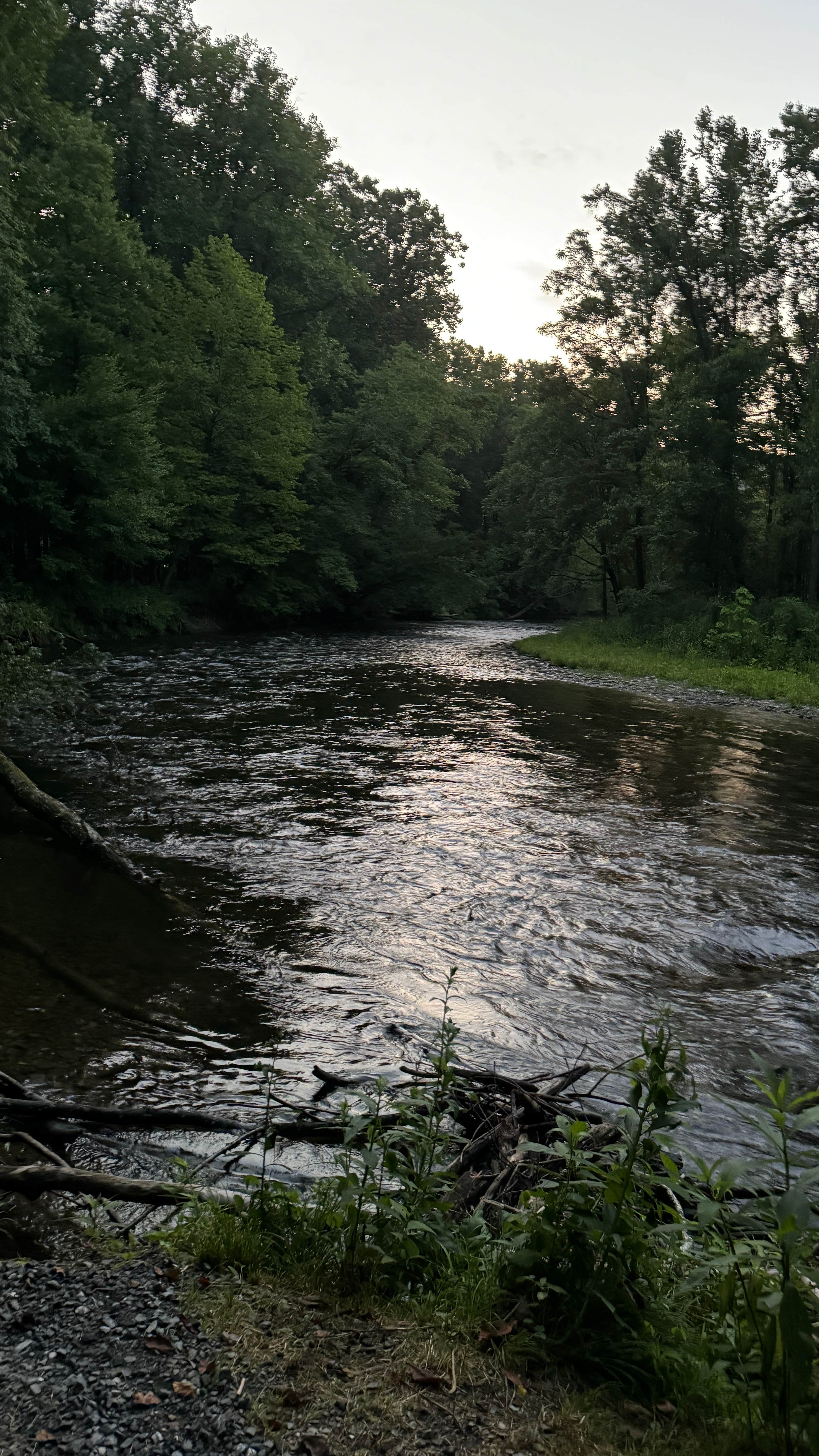 Camper-submitted photo at Wilmington KOA near Murphy, NC