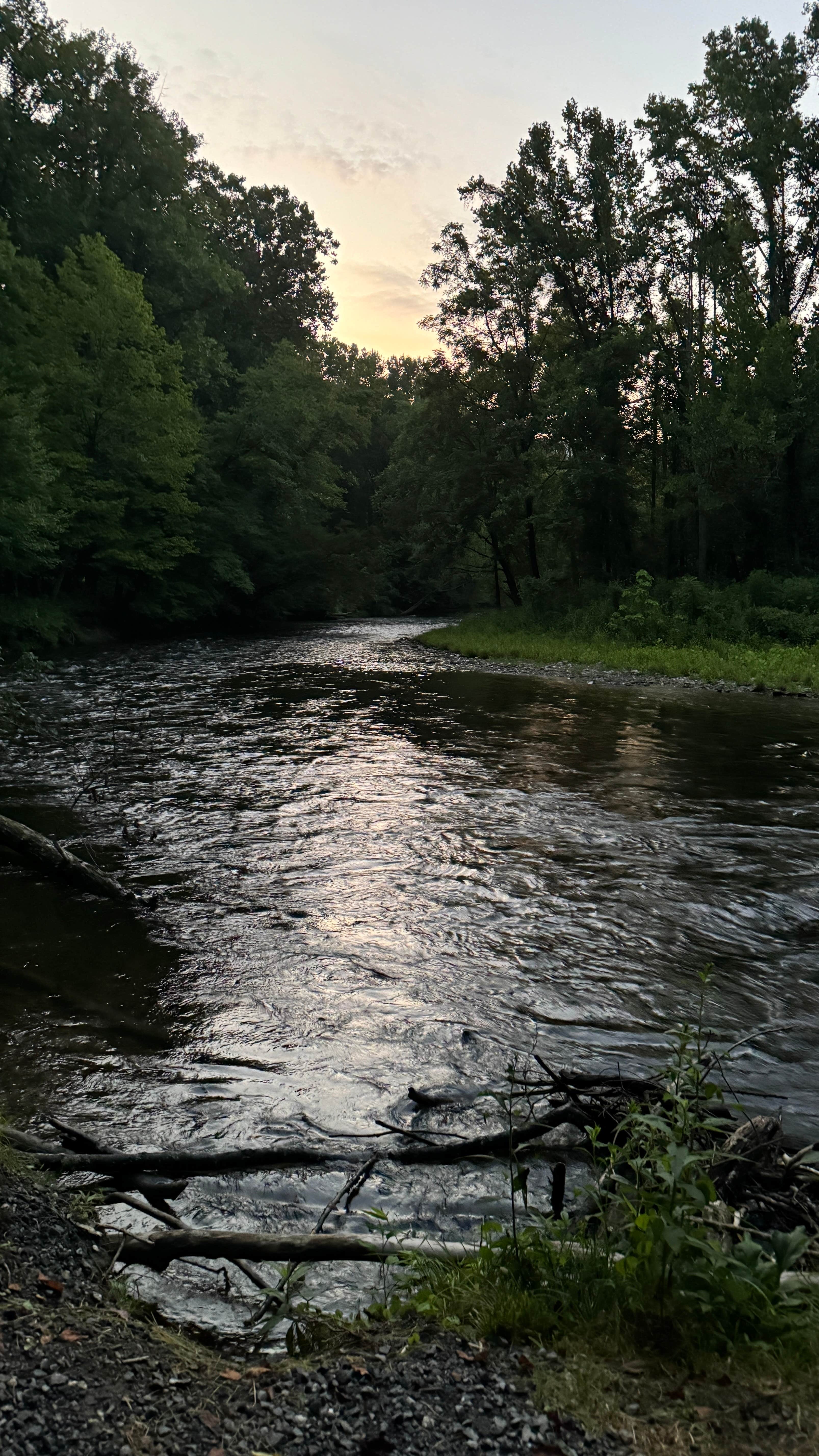 Camper-submitted photo at Wilmington KOA near Murphy, NC