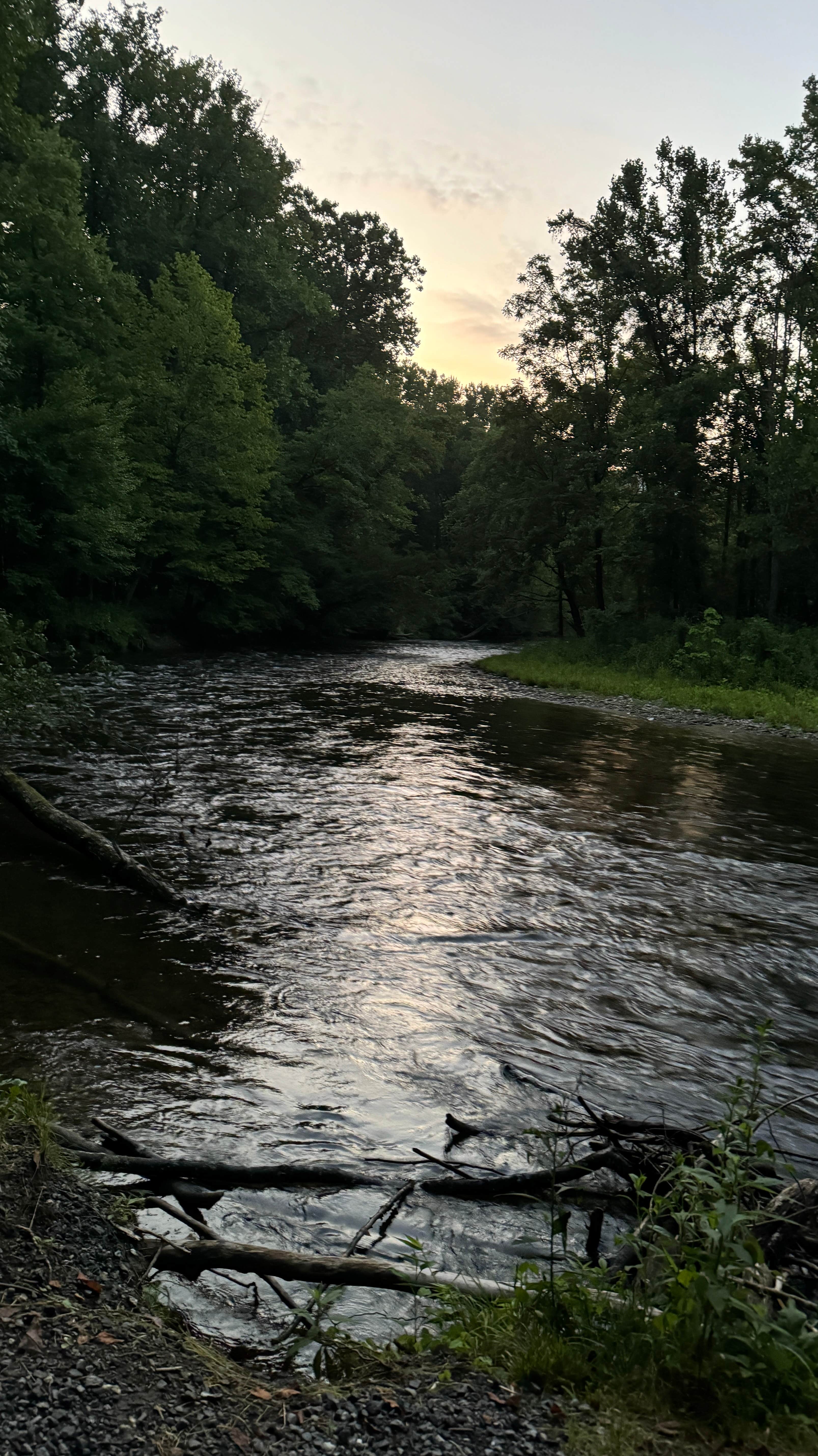 Camper-submitted photo at Wilmington KOA near Murphy, NC