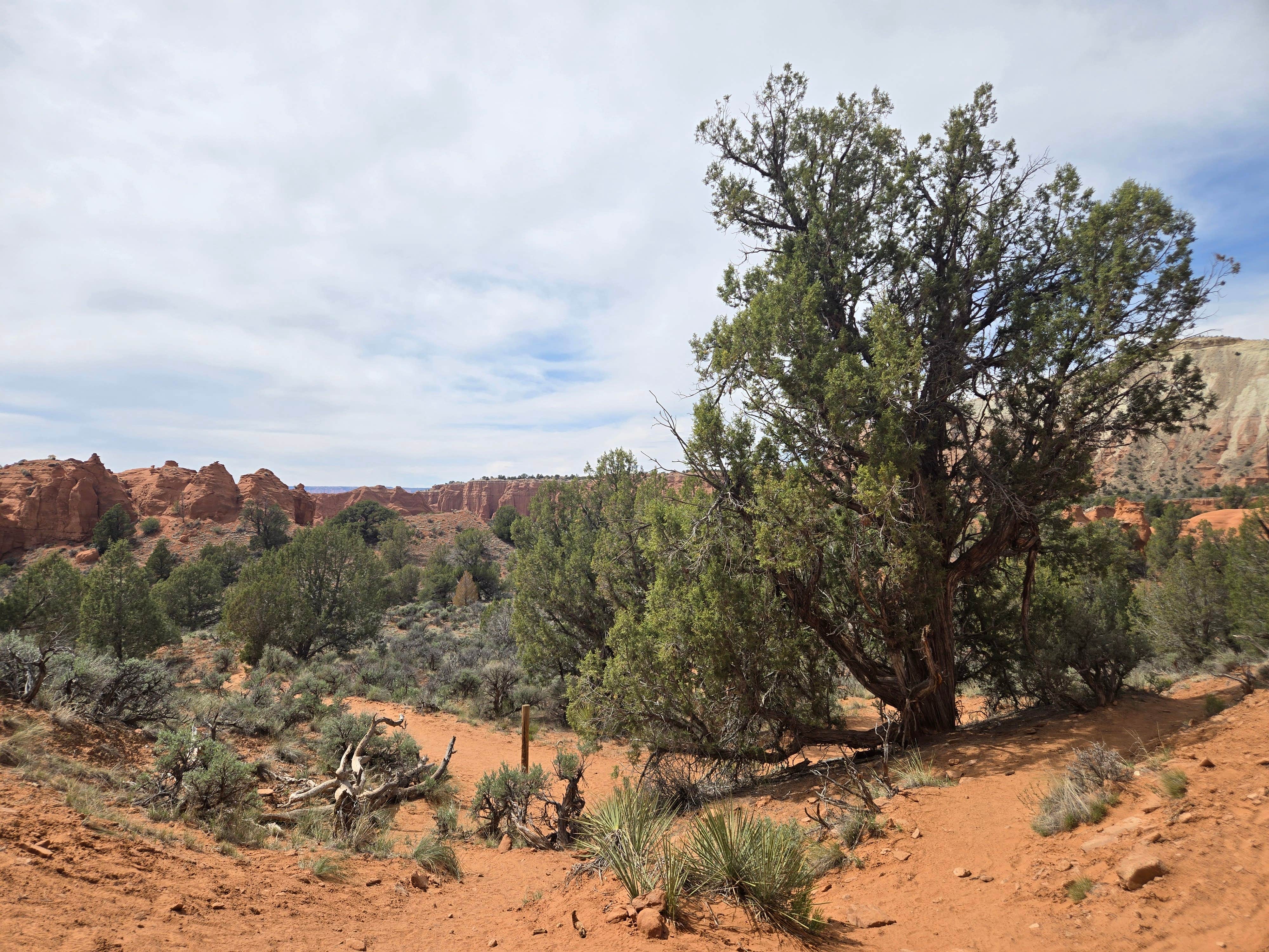 Camper-submitted photo at Kodiochome State Park near Cannonville, UT