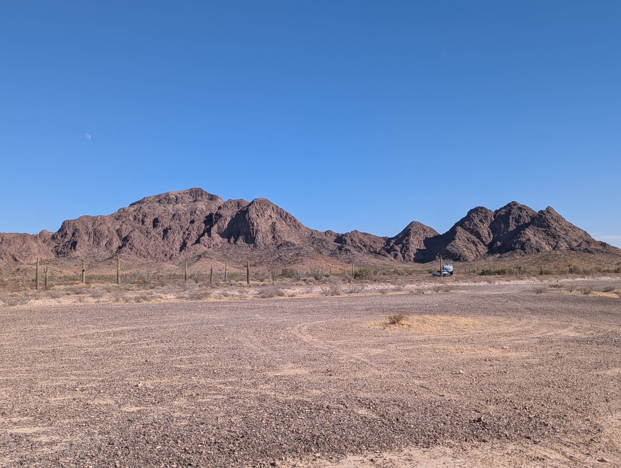 Camper submitted image from KOFA National Wildlife Refuge - King Valley Road - 5