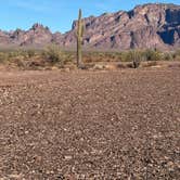 Review photo of KOFA National Wildlife Refuge - King Valley Road by Iris V., October 11, 2025