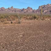 Review photo of KOFA National Wildlife Refuge - King Valley Road by Iris V., October 11, 2025