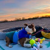 Review photo of Kofa National Wildlife Refuge by Danny T., January 30, 2024