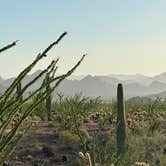 Review photo of Kofa Queen Canyon by Alisa P., October 15, 2025