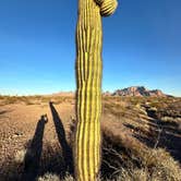 Review photo of Kofa Queen Canyon by Mike M., January 22, 2024