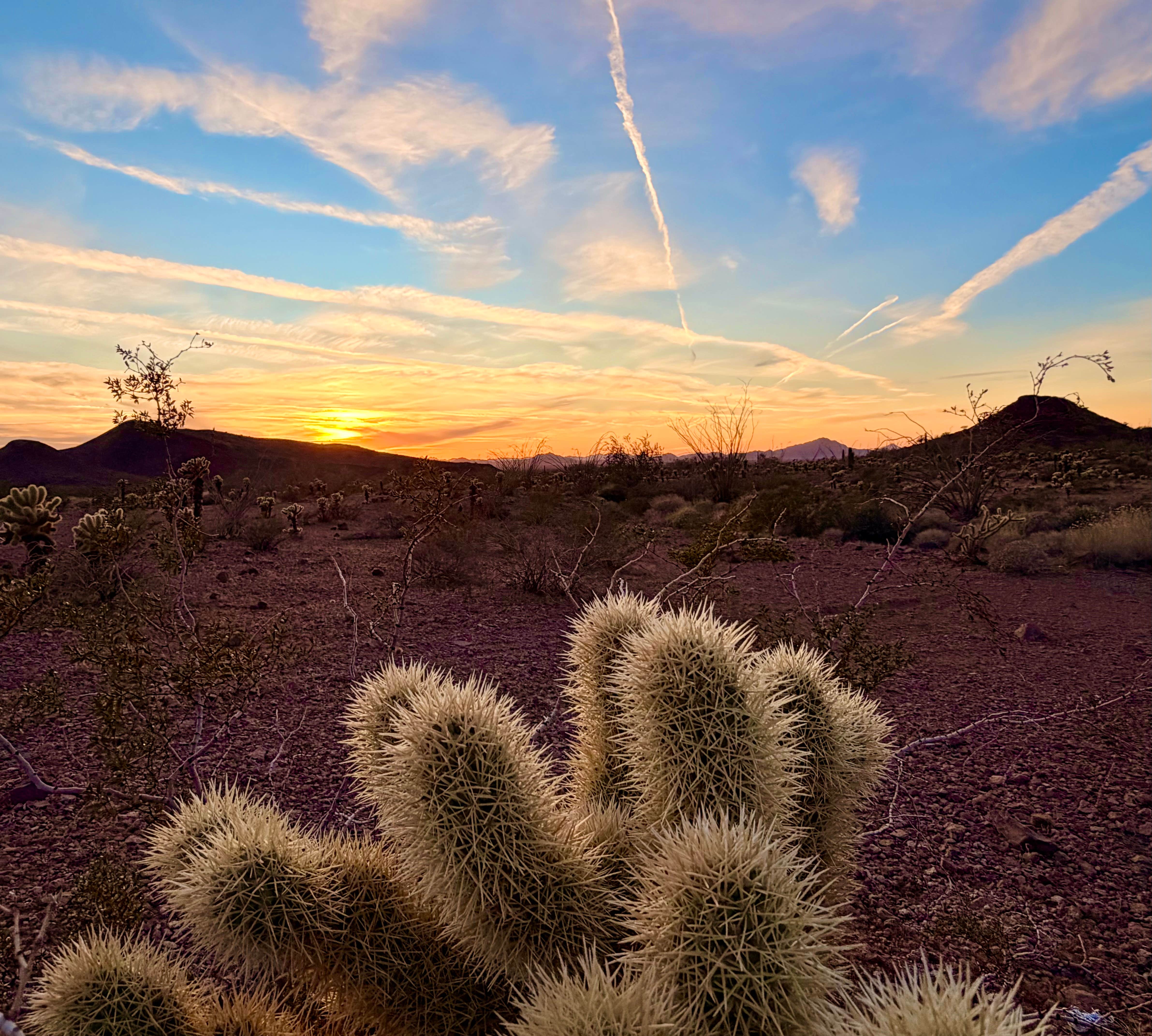 Camper-submitted photo at Kofa Queen Canyon near Quartzsite, AZ