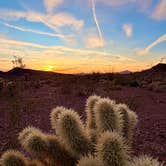 Review photo of Kofa Queen Canyon by Fa B., February 22, 2026