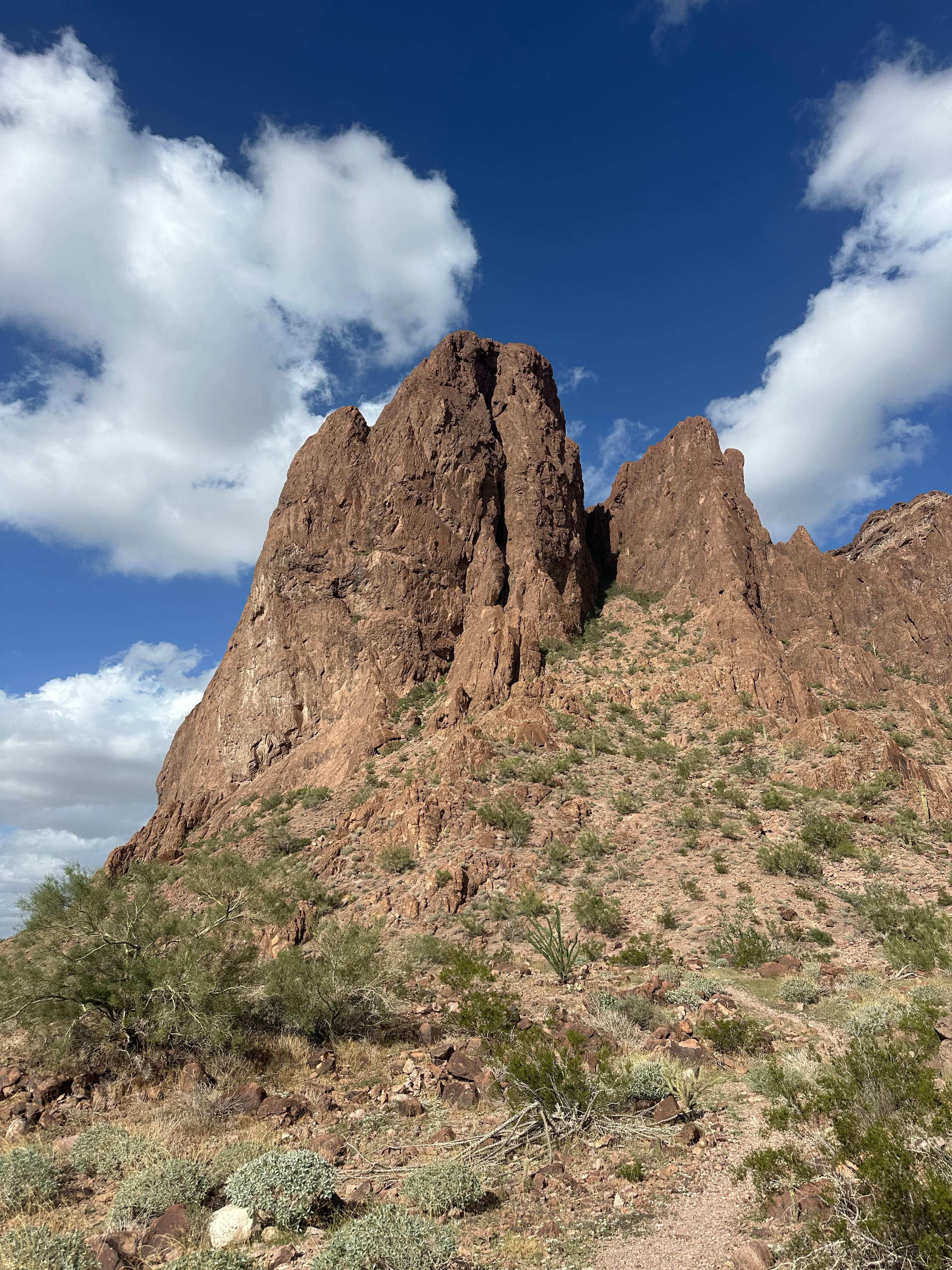Camper-submitted photo at Kofa Queen Canyon near Cibola, AZ