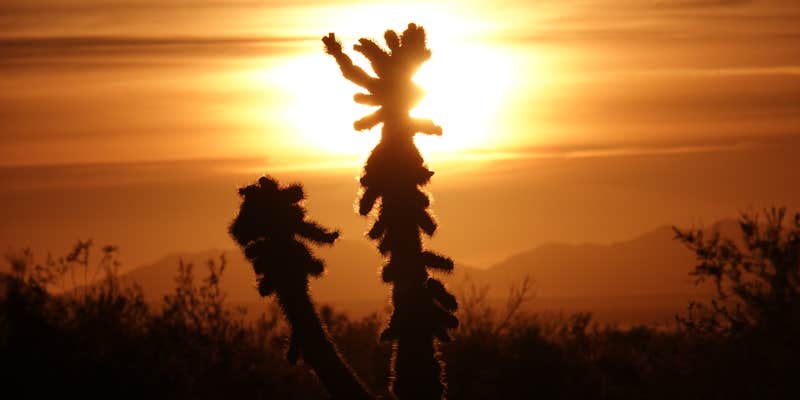 Camper submitted image from Kofa Queen Canyon