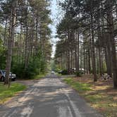 Review photo of Kohler-Andrae State Park by Justin F., July 21, 2025