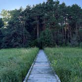 Review photo of Kohler-Andrae State Park by Justin F., July 21, 2025