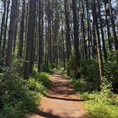 Review photo of Kohler-Andrae State Park by Justin F., July 21, 2025